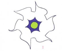 曼陀罗花的画法步骤图带颜色曼陀罗花简笔画图