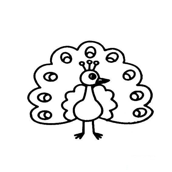 孔雀开屏的画法