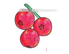 教你一步一步画山楂简笔画涂色简单漂亮