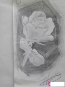 儿童植物简笔画，漂亮的玫瑰