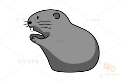 海狸鼠简笔画步骤图