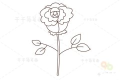 蔷薇花简笔画