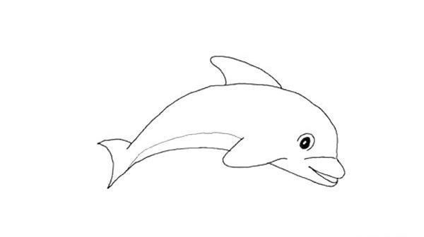 可爱的海豚简笔画画法