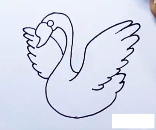 天鹅简笔画图解步骤