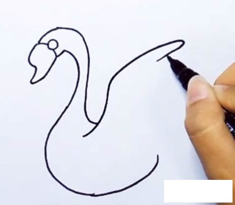 天鹅简笔画图解步骤