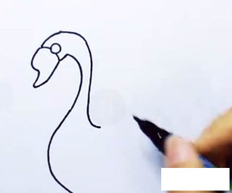 天鹅简笔画图解步骤