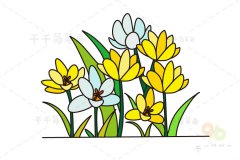 黄番红花简笔画