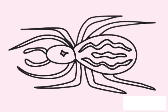 蜘蛛简笔画图片