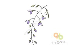 藤萝简笔画