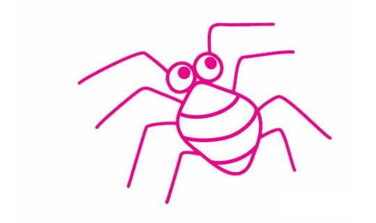 蜘蛛简笔画完成图