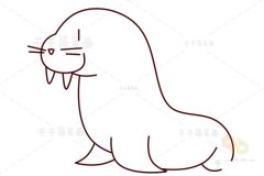 海象简笔画 儿童画动物