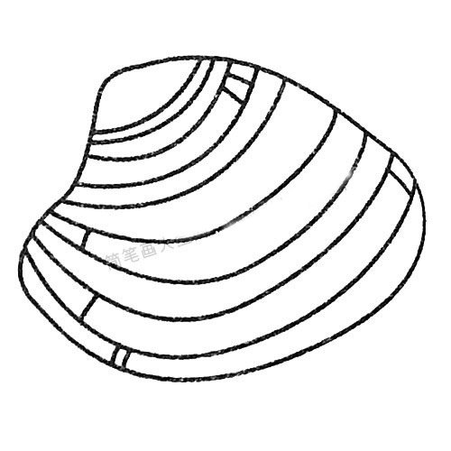 贝壳简笔画
