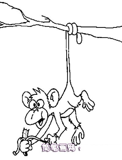 吃香蕉的小猴子简笔画3