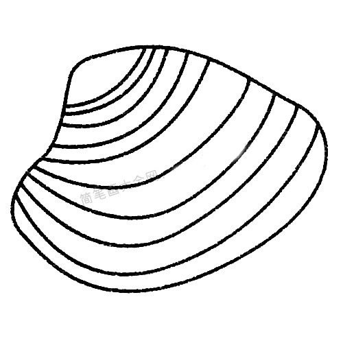 贝壳简笔画