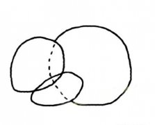 小松鼠简笔画的画法步骤教程