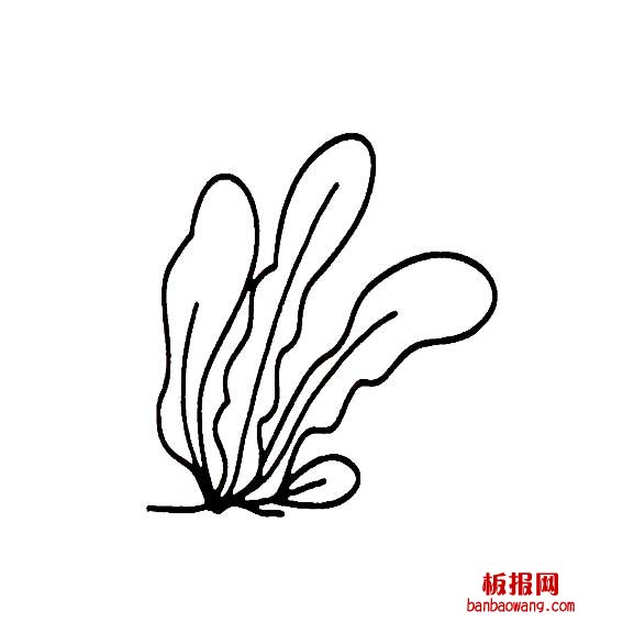 海带的简笔画法