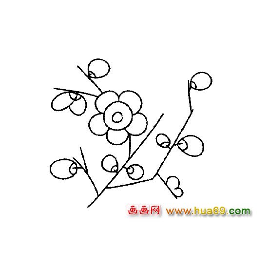 花卉简笔画:含苞待放的梅花1