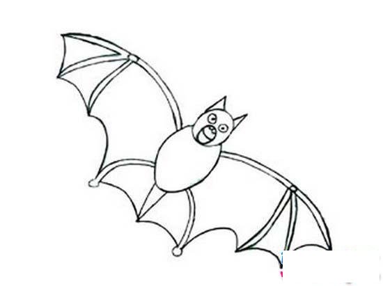 飞天蝙蝠简笔画图片