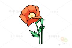 罂粟花简笔画 简单易学