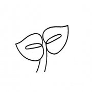 嫩芽的简单画法