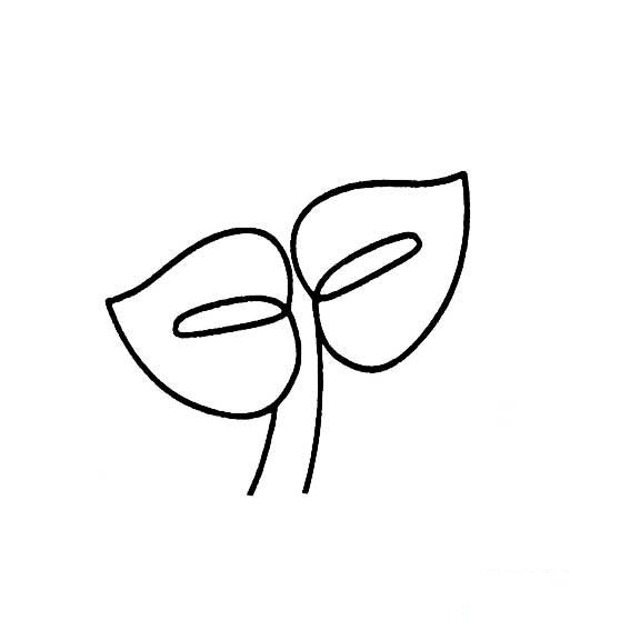 嫩芽的简单画法