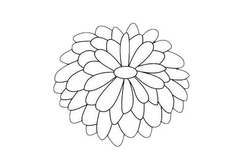 菊花简笔画图片大全作品四