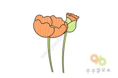 罂粟花简笔画 简单学画