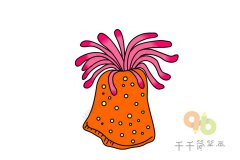 教你画海葵简笔画图片