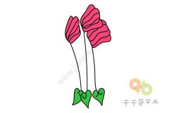 美丽的仙客来简笔画