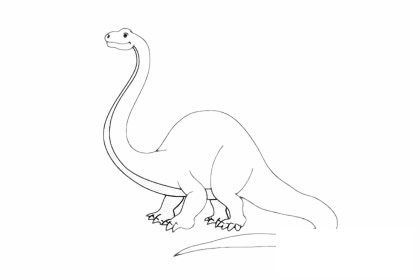 食草龙简笔画图片大全作品五