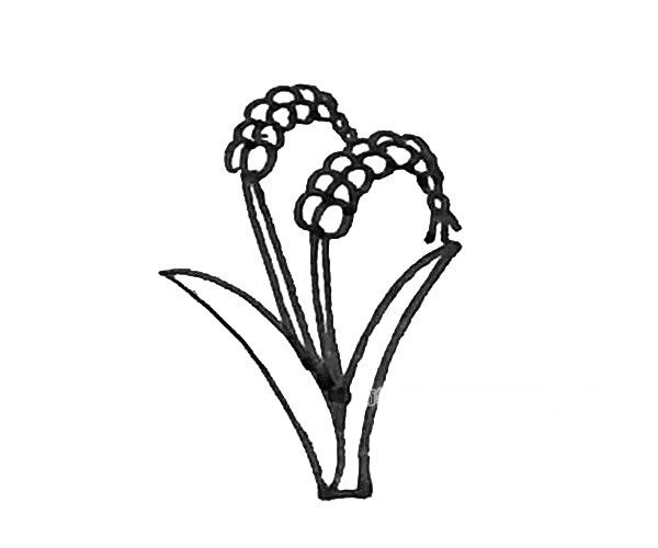 学画麦子简笔画