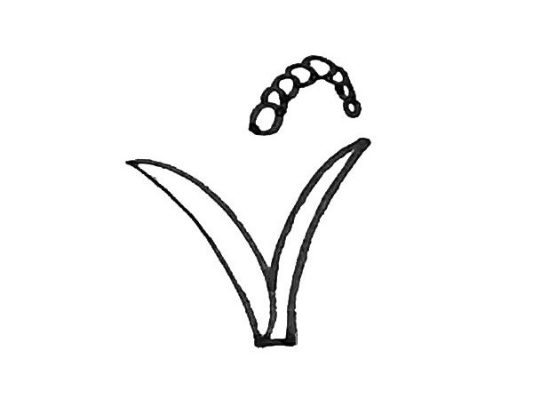 学画麦子简笔画