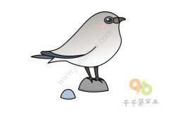 教你画灰燕简笔画图片