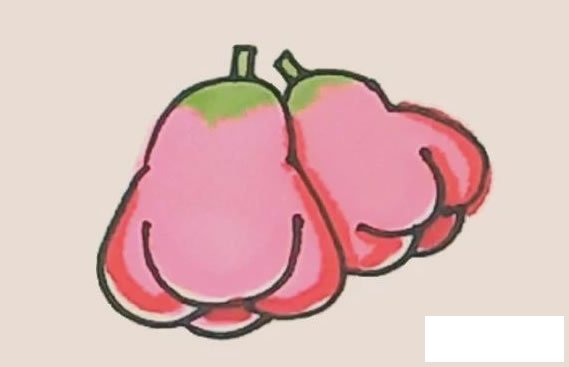 莲雾简笔画图片