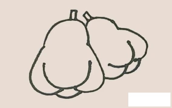 莲雾简笔画图片