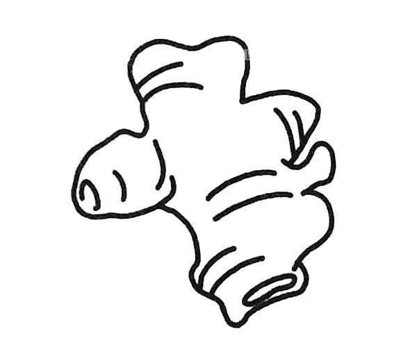 生姜简笔画图片
