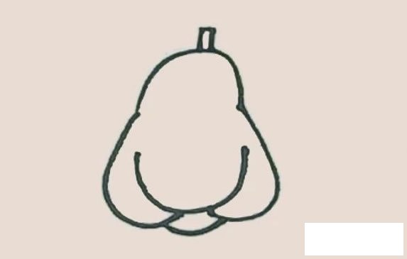 莲雾简笔画图片