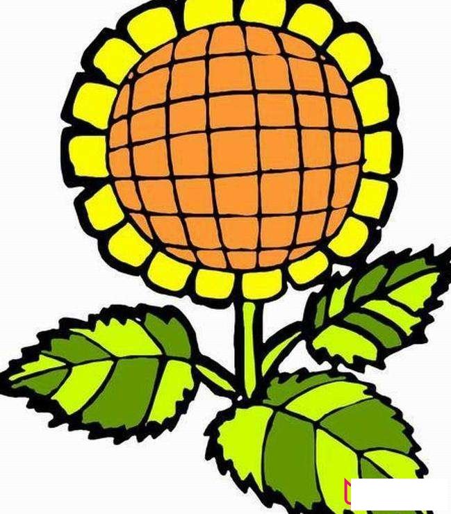 植物简笔画大全，向日葵简笔画