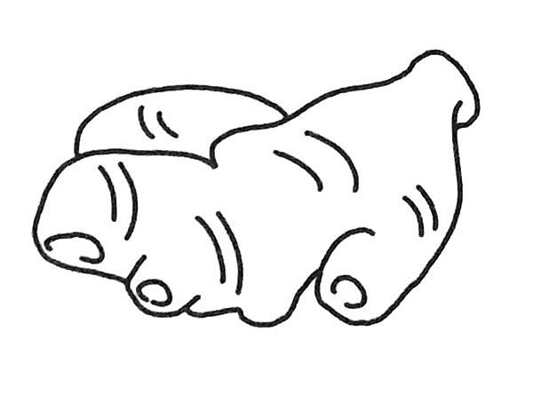 生姜简笔画图片