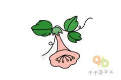 美丽的喇叭花简笔画
