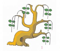 卡通柳树简笔画怎么画涂颜色简单好看