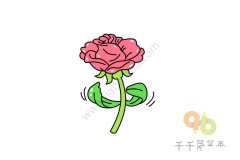 美丽的大红花简笔画图片