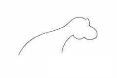 食草龙简笔画图片步骤一