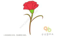 美丽的康乃馨简笔画步骤图