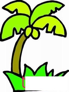 植物简笔画大全，椰树简笔画