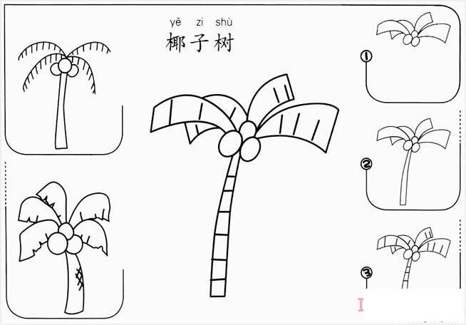 椰子树的画法步骤简笔画图片简单好看