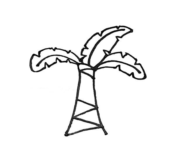 芭蕉树简笔画