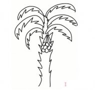 椰子树的画法步骤简笔画图片简单好看
