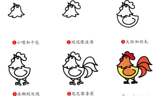 公鸡动物简笔画步骤图片大全