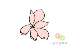 美丽的木兰花简笔画